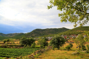 Moving to Rural Place